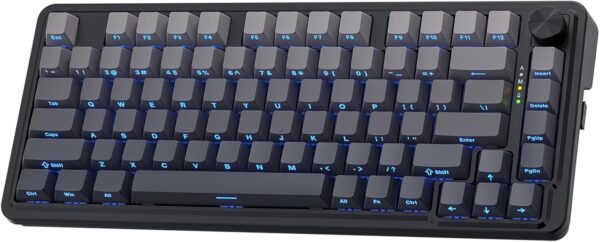 Wireless Gaming Keyboard, 3-Modes 81 Keys PBT Compact Mechanical Keyboard w/Hot-Swap Socket, Dedicated Knob Control & 5-Layer Noise Dampening, Custom Linear Switch