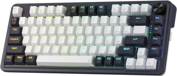 Wireless  Gaming Keyboard, 3-Modes 81 Keys Compact Mechanical Keyboard Hot-Swap Socket, Dedicated Knob Control and Sound Absorbing Pads, Linear Red Switch
