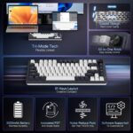 Wireless  Gaming Keyboard, 3-Modes 81 Keys Compact Mechanical Keyboard Hot-Swap Socket, Dedicated Knob Control and Sound Absorbing Pads, Linear Red Switch